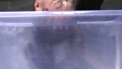 Flaco de pollo follladas caseras medias folla su coño consolador